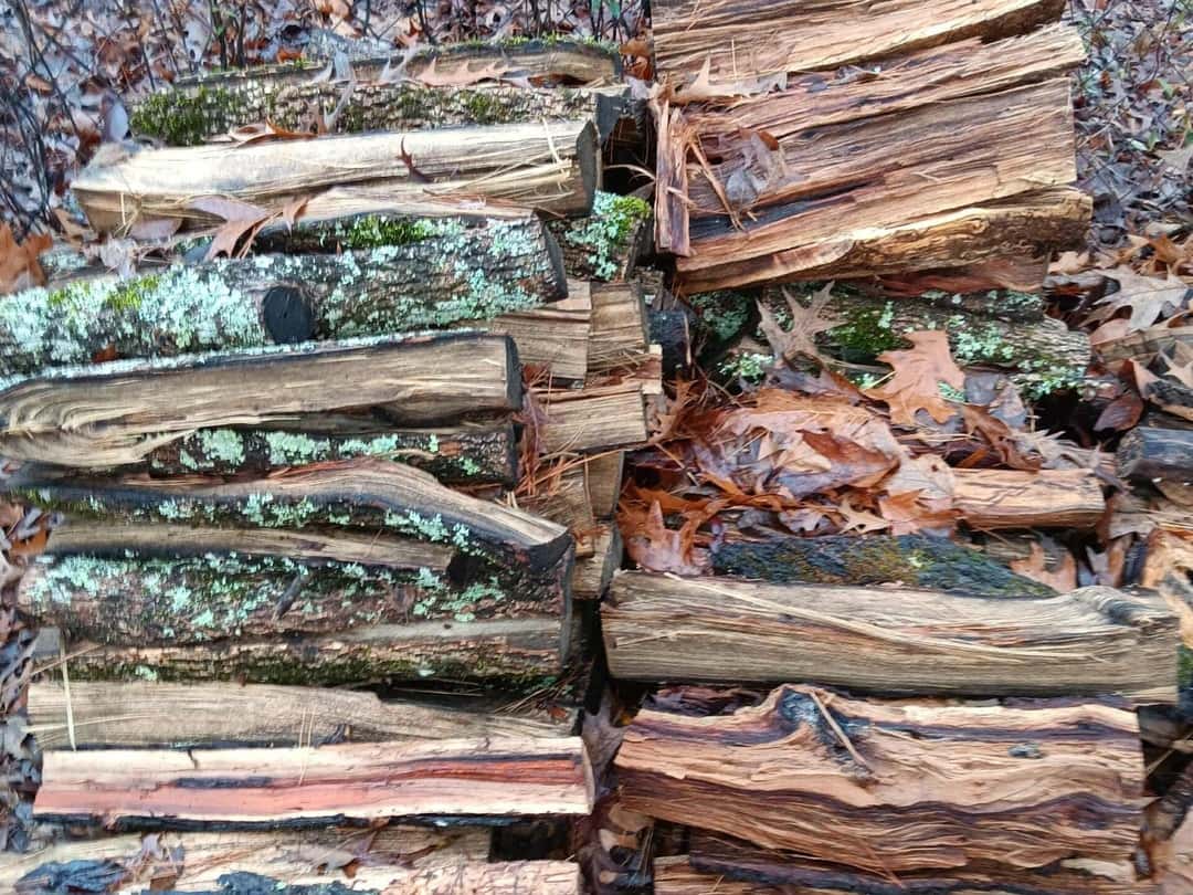 Split hickory with lichen on its bark, stacked in two rows