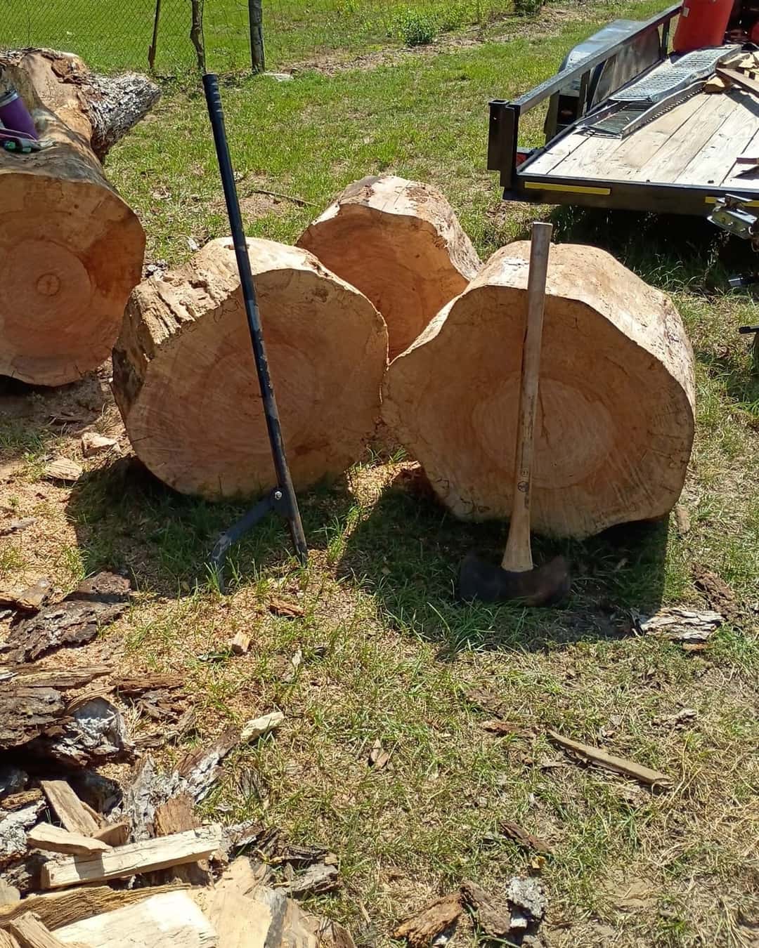 Fresh-cut log rounds at the wood yard, with a splitting maul and a log peavey